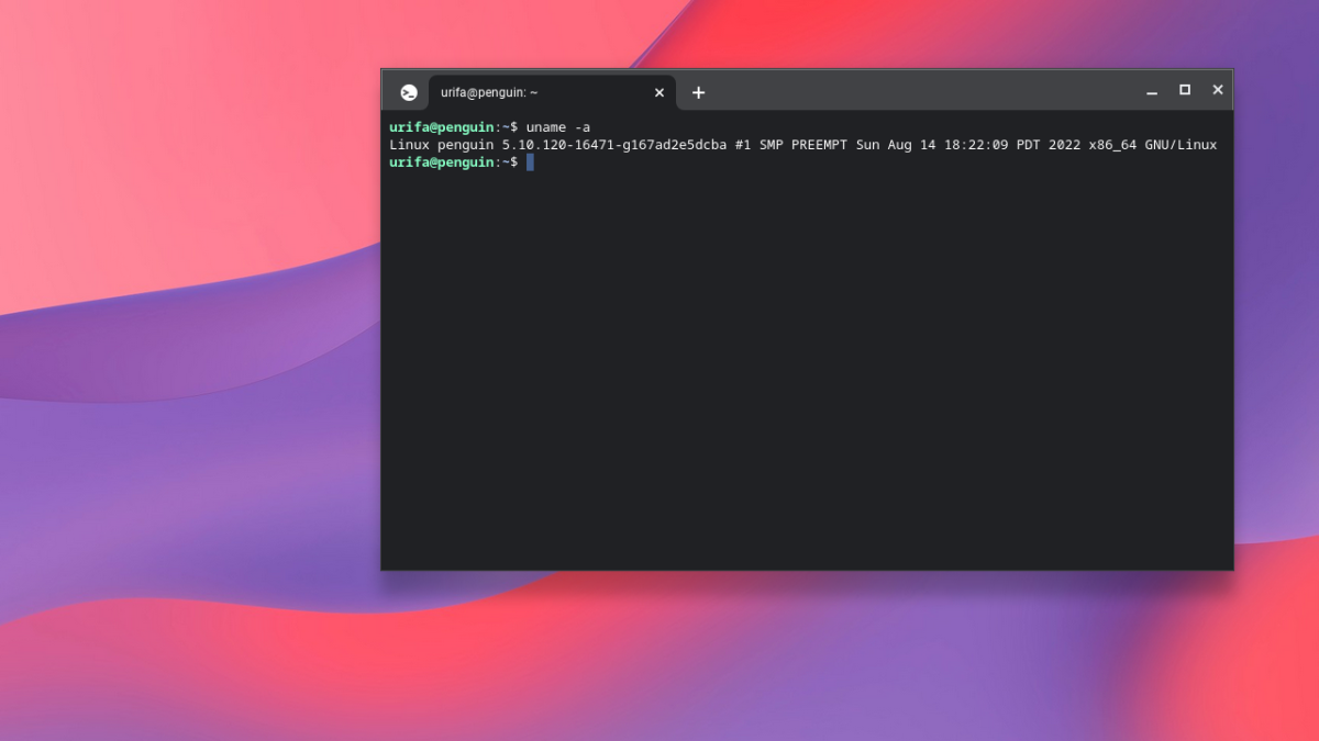 ChromeOS. Habilitar Entorno GNU/Linux